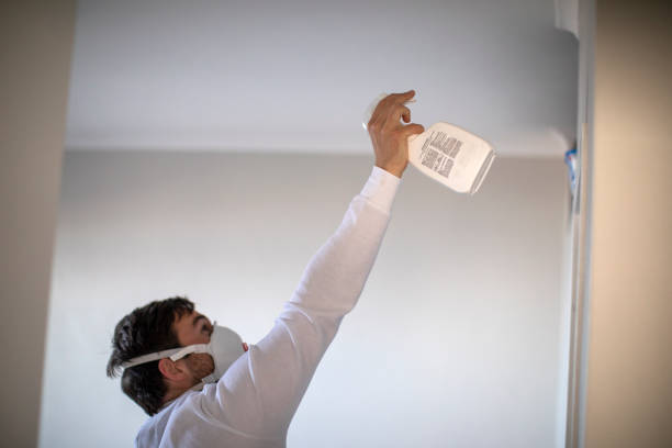 Best Mold Removal Process  in West Bountiful, UT